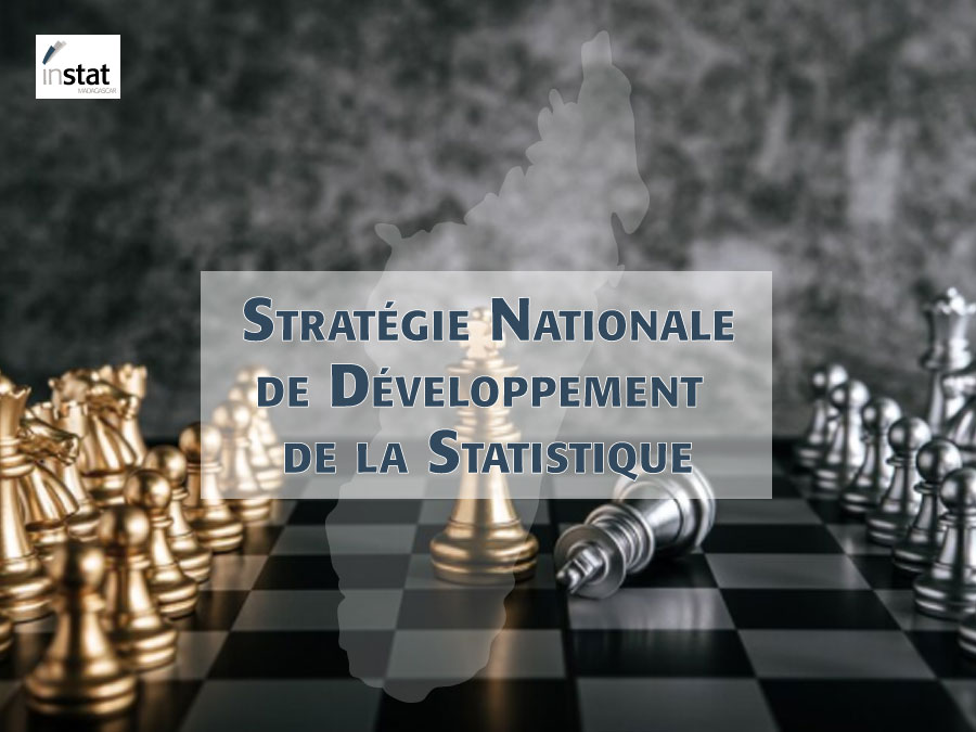 Stratégie Nationale de Développement de la Statistique - SNDS Première génération | 2007